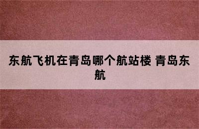 东航飞机在青岛哪个航站楼 青岛东航